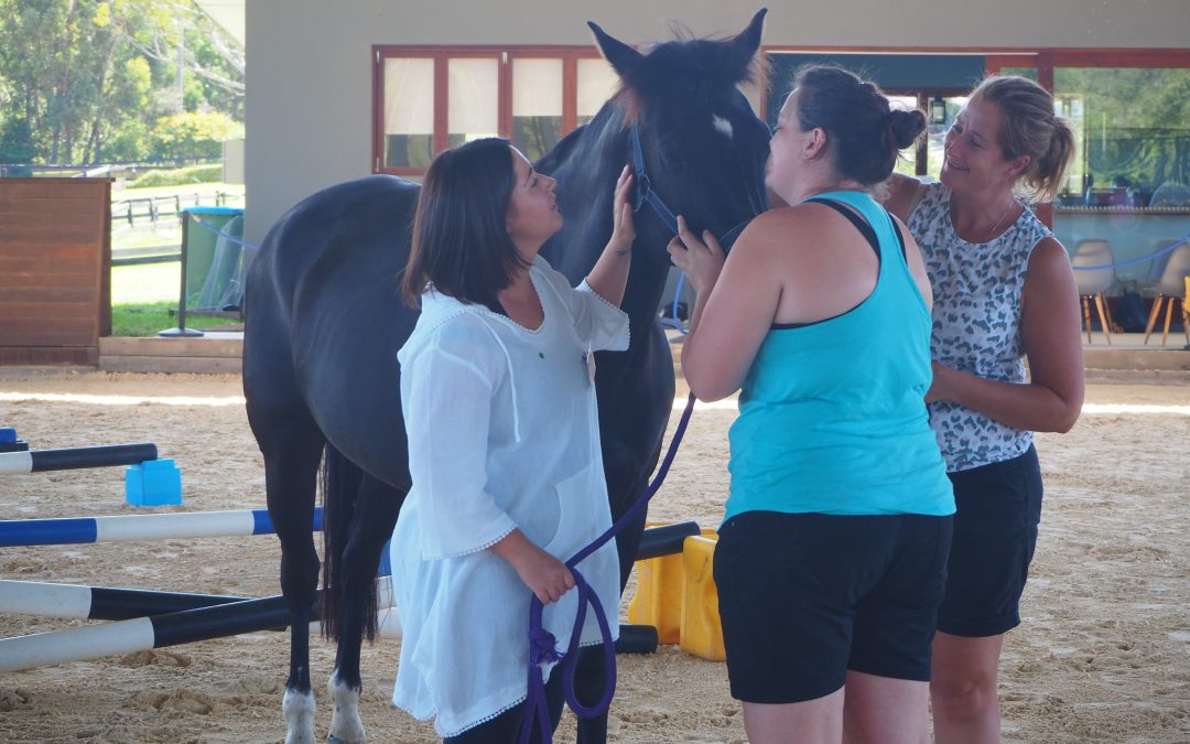 Making the invisible visible: Horses aren’t afraid of the truth, are you?