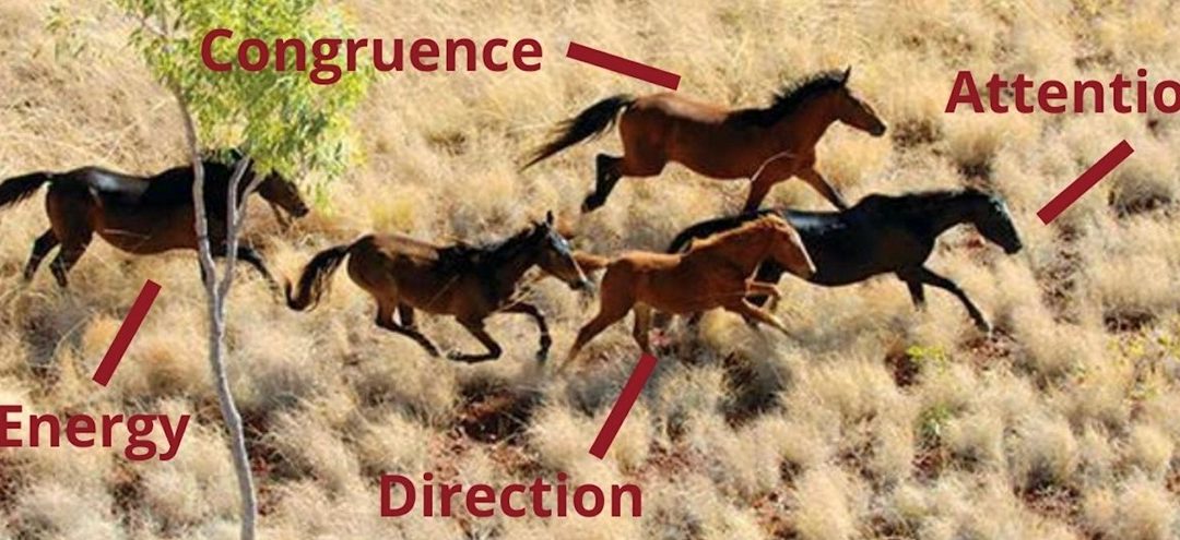 Word of the Week…ATTENTION