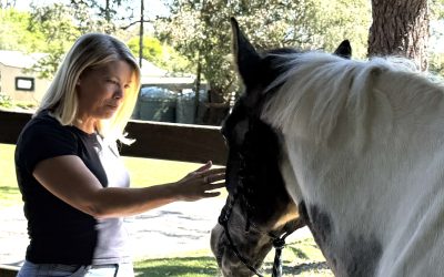 What Horses Can Teach Us About the Four Universal Needs of Leadership: Hope, Trust, Compassion, and Stability