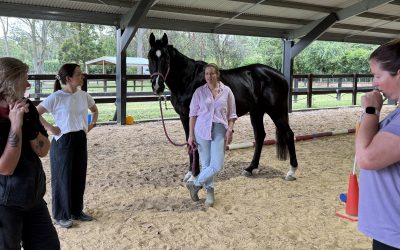 When the Space Between Fills with Assumptions