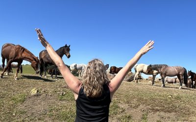 Leadership, Horses, and the Courage to Be Seen