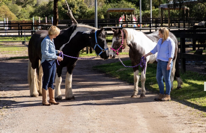 Home Of Equine Connection Australia