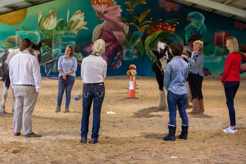 Executive Leadership