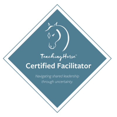 Teaching Horse Certified Facilitator