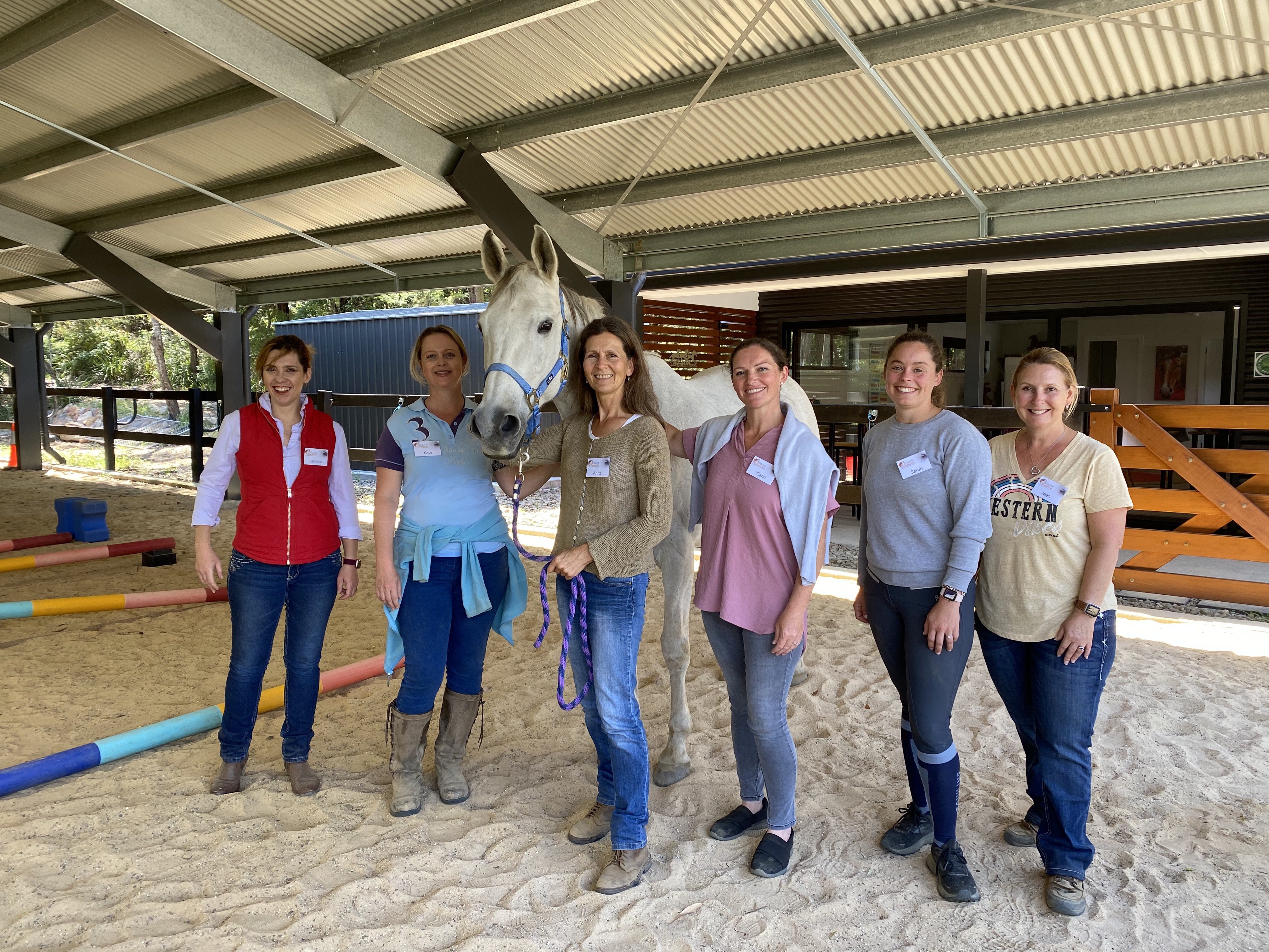 Levelled Up: Where Horses Teach Humans How to Lead - Image 7