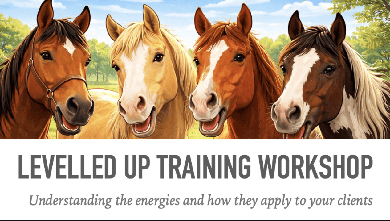Levelled Up: Where Horses Teach Humans How to Lead - Image 2