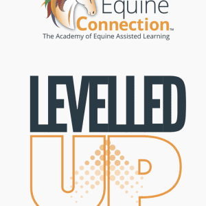 Levelled Up: Where Horses Teach Humans How to Lead