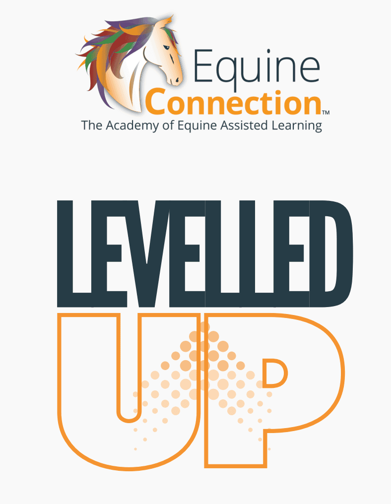 Levelled Up: Where Horses Teach Humans How to Lead