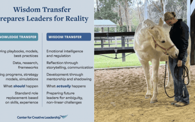 Leadership Wisdom