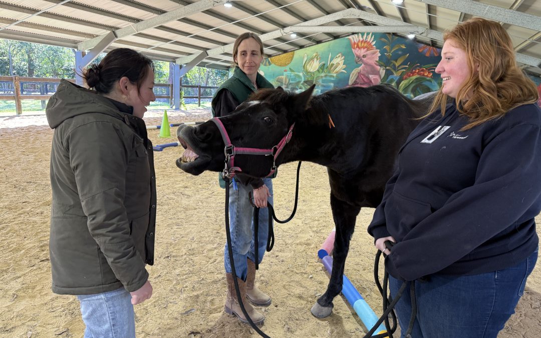 Horses don’t hide the bad news